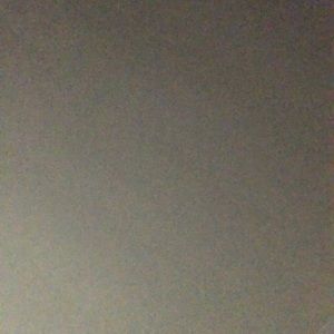 Meet your Posher, Cody